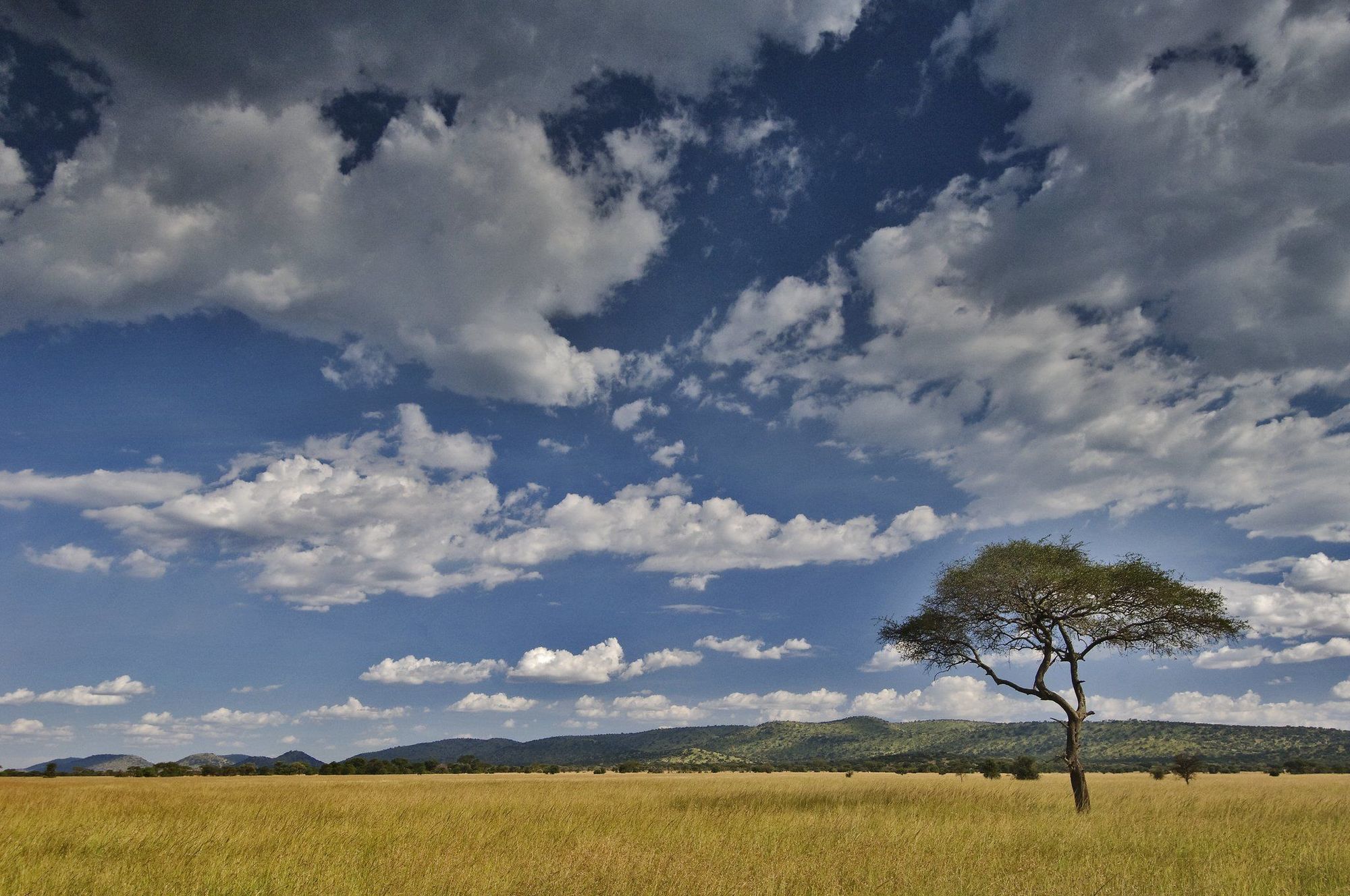 Kirawira Serena Camp Robanda Экстерьер фото